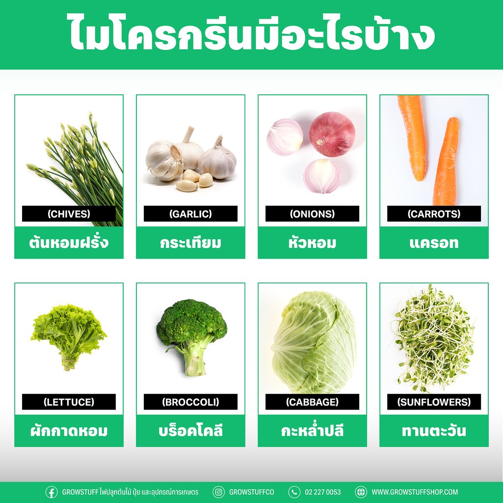 ไมโครกรีนคืออะไร