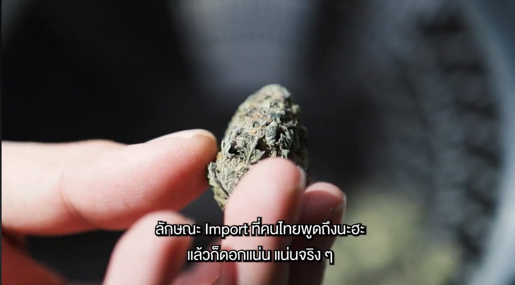 เครื่องทริมดอก