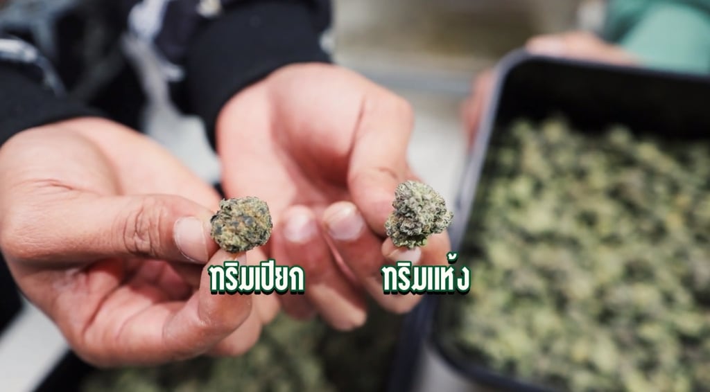 เครื่องทริมดอก