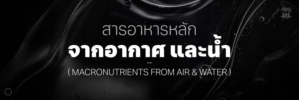 สารอาหารกัญชา