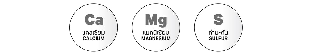 สารอาหารกัญชา