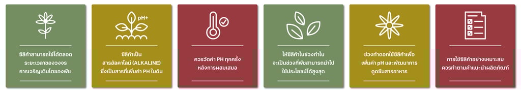 ซิลิก้า คือ