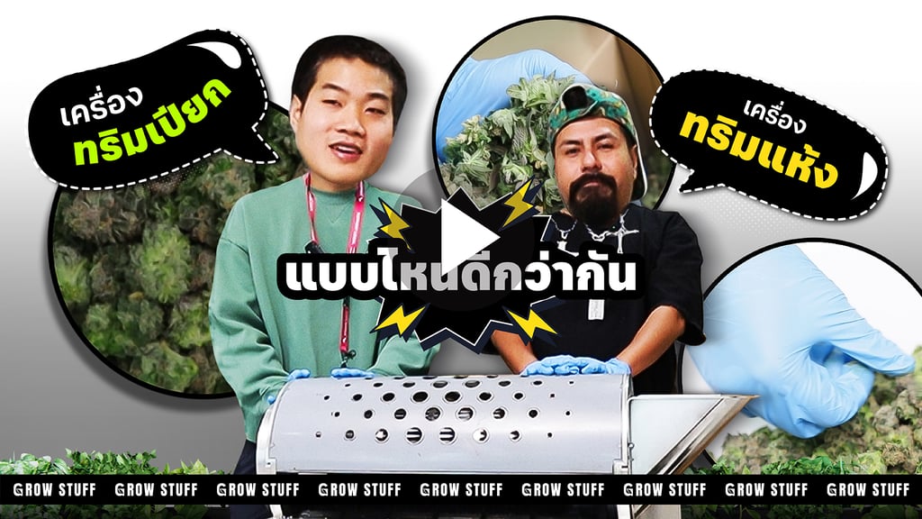เครื่องทริมดอก