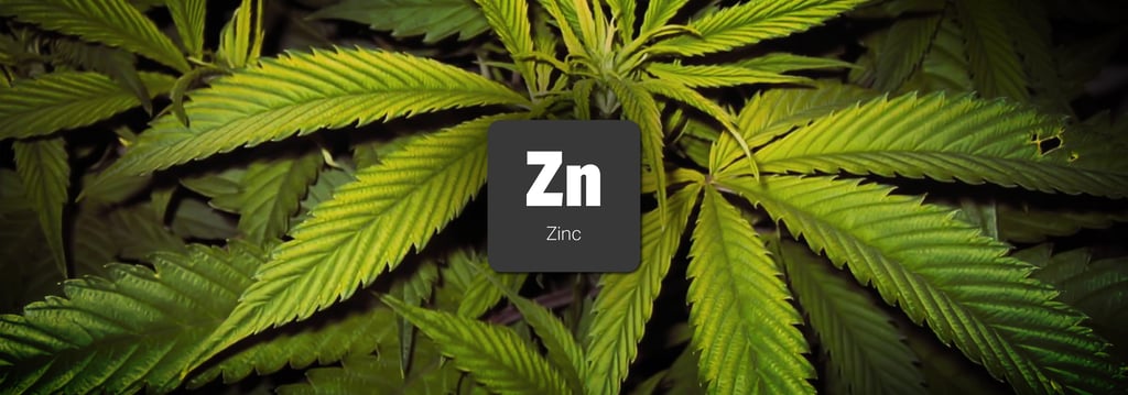 วิธีป้องกันและวิธีแก้พืชขาดสารอาหารชนิดต่างๆ (Nutrient Deficiency) 32 พืชขาดสารอาหาร