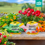 FEED PLANT อาหารเสริมต้นไม้สูตร Flowers บํารุงผล เร่งดอก ใช้ได้กับไม้ดอกและ ไม้ผลทุกชนิด - Image 8