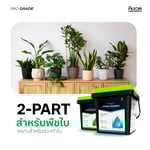 เซ็ทปุ๋ยหลัก AB สำหรับพืชใบ / ระยะทำใบ (CoreX + EldeX) ปุ๋ยสำหรับต้นไม้ทุกชนิด เร่งการเจริญเติบโต | KING WHALE - Image 2