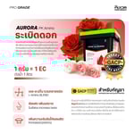ออโรร่า (AURORA) | PK+Amino เร่งการสร้างเนื้อดอก และผลผลิต | KING WHALE - Image 2