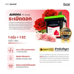 เซตปุ๋ยเสริม3ตัว Supplements Set | KING WHALE - Image 3