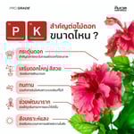 ออโรร่า (AURORA) | PK+Amino เร่งการสร้างเนื้อดอก และผลผลิต | KING WHALE - Image 3