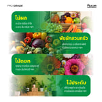 เซ็ทปุ๋ยหลัก AB สำหรับพืชใบ / ระยะทำใบ (CoreX + EldeX) ปุ๋ยสำหรับต้นไม้ทุกชนิด เร่งการเจริญเติบโต | KING WHALE - Image 4