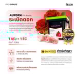 ชุดครบเซต ตัวจบทุกความต้องการของพืช Full Set | KING WHALE - Image 5