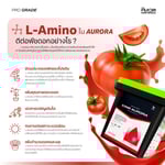 ออโรร่า (AURORA) | PK+Amino เร่งการสร้างเนื้อดอก และผลผลิต | KING WHALE - Image 4