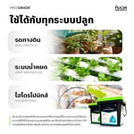 เซ็ทปุ๋ยหลัก AB สำหรับพืชใบ / ระยะทำใบ (CoreX + EldeX) ปุ๋ยสำหรับต้นไม้ทุกชนิด เร่งการเจริญเติบโต | KING WHALE - Image 5