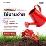 ออโรร่า (AURORA) | PK+Amino เร่งการสร้างเนื้อดอก และผลผลิต | KING WHALE - Image 5
