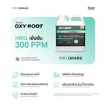 ชุดครบเซต ตัวจบทุกความต้องการของพืช Full Set | KING WHALE - Image 8