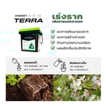 เซ็ทปุ๋ยหลัก AB สำหรับพืชใบ / ระยะทำใบ (CoreX + EldeX) ปุ๋ยสำหรับต้นไม้ทุกชนิด เร่งการเจริญเติบโต | KING WHALE - Image 8