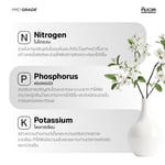 คอเร็กซ์ (COREX) | สารอาหารพื้นฐานสำหรับทุกระยะ part A | KING WHALE - Image 9