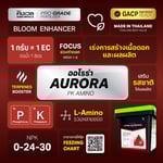 ออโรร่า (AURORA) | PK+Amino เร่งการสร้างเนื้อดอก และผลผลิต | KING WHALE - Image 9