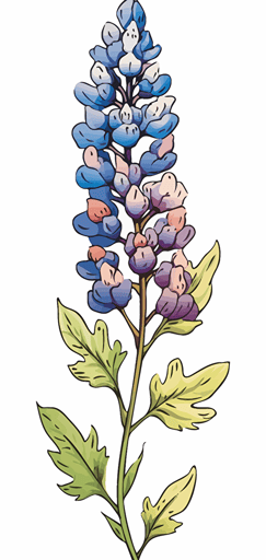 2d colorful single bluebonnet black outline transparent background vector