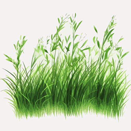 Grass, vector transparent, transparent illustration, png