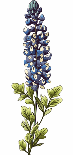 2d colorful single bluebonnet black outline transparent background vector