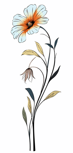 2d colorful single wildflower black outline white background vector