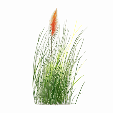 long grass, grass, vector art, morandi colours, isolated white background