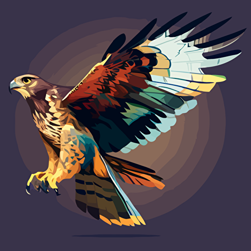hawk, with wing span, vector,