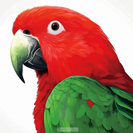 Eclectus Parrot bird looking straight in the camera, white bg, vector