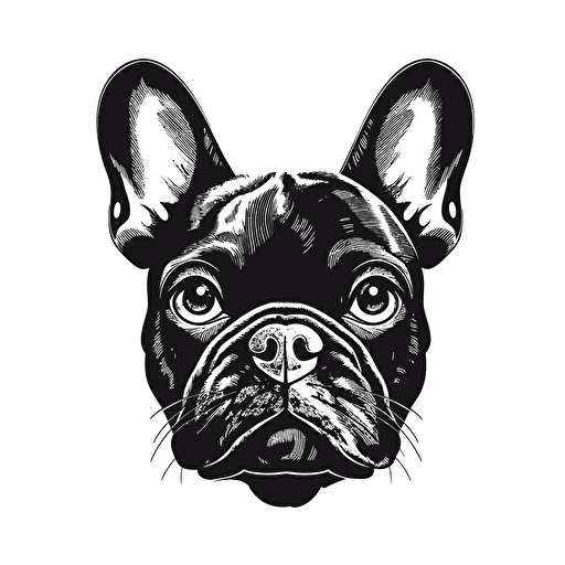 a black french bulldog on a white background vector image