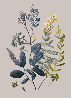 painting of dainty pressed botanical flowers, vector style