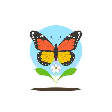 butterfly on a flower