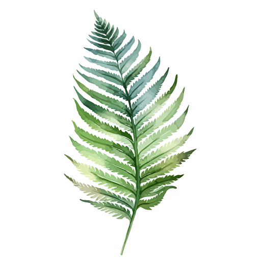 watercolor vector illustration boho boston fern leaf sticker white background