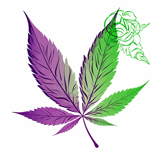 marijuana leaf green and purple vector