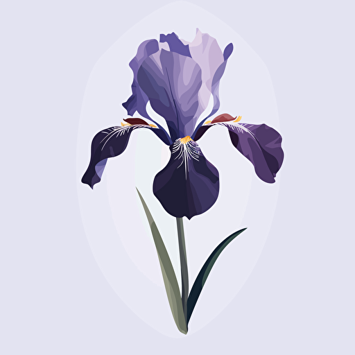 Iris flower, minimalist, behance, canva, freepik, vector