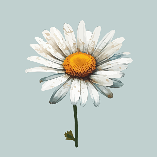 vector illustration style, one daisy flower, white background, high quality,