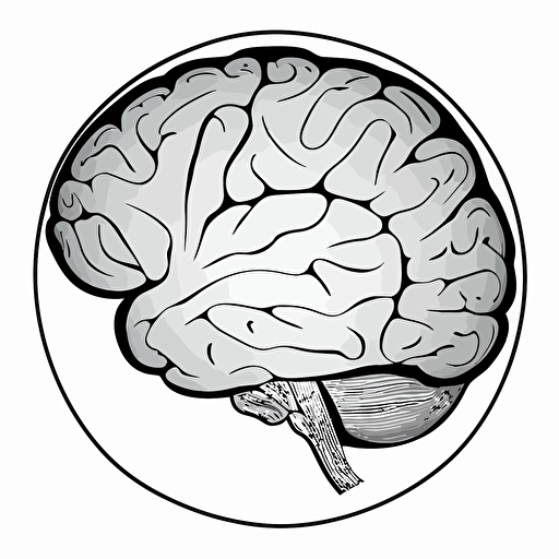 simple Vector line-drawing of a brain, top-down, linedrawing, black & white