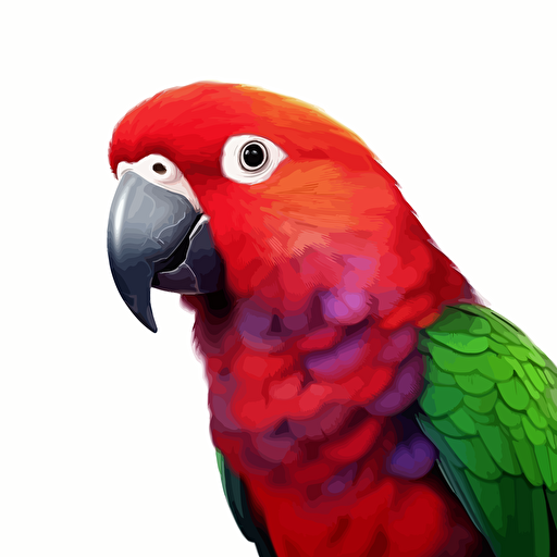Eclectus Parrot bird looking straight in the camera, white bg, vector