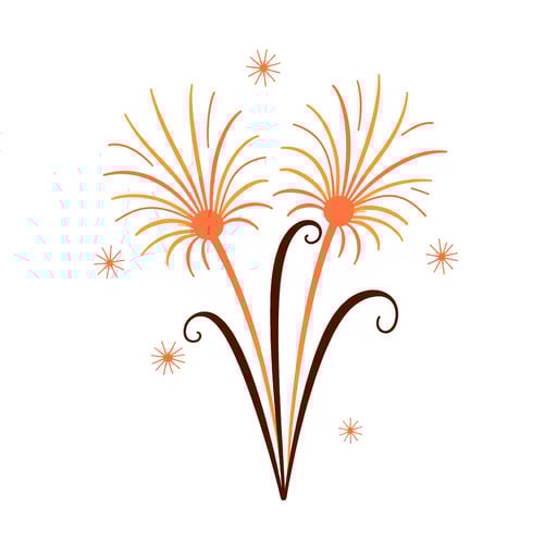 fireworks