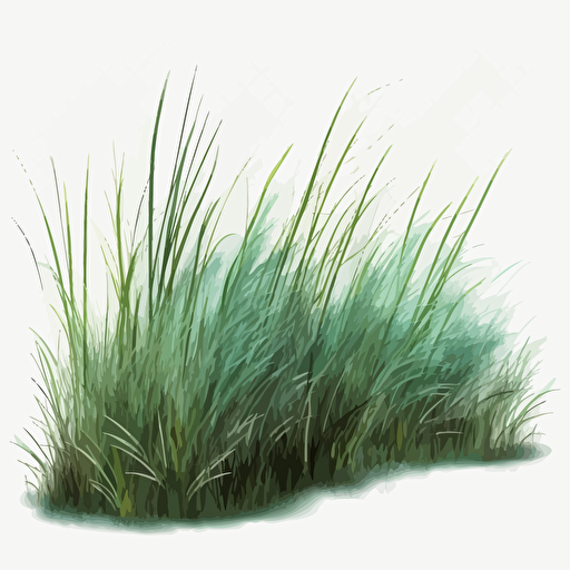 Grass, vector transparent, transparent illustration, png