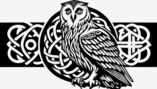 celtic square owl black and white vector white background white border