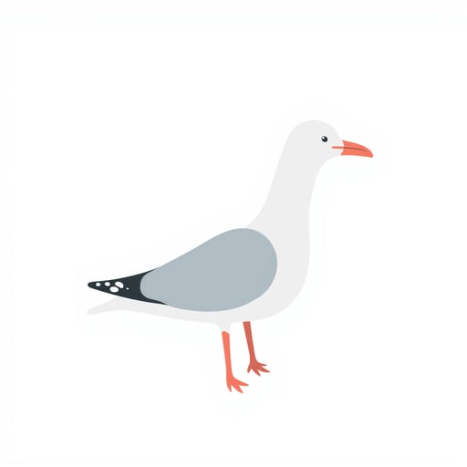 a seagull