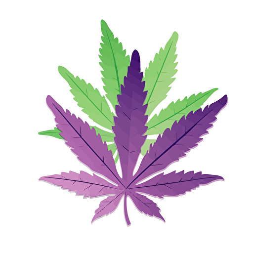 marijuana leaf green and purple vector