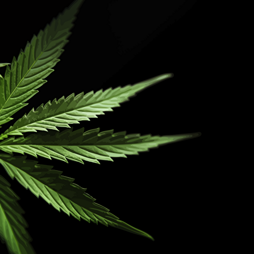 green marijuana leaf close up isolated on black background vector of marijuana leaf with nine points, in the style of 32k uhd, ai weiwei, irving penn, stockphoto, stock photo, nonrepresentational