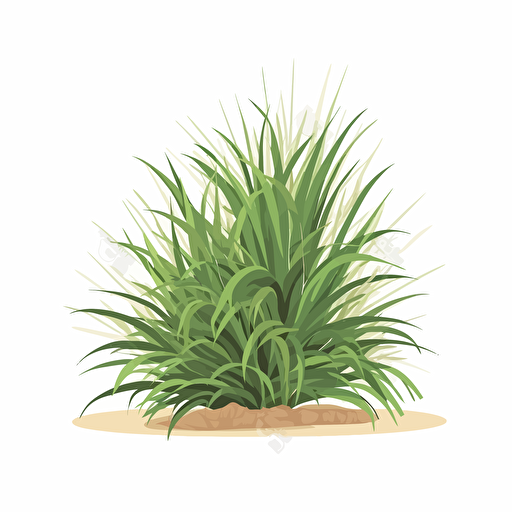 flat design, vector illustration, pandanus bush, white background