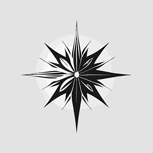 abstract star and compas based logo for a high end watch brand in black and white and simple modern and elegant vector style
