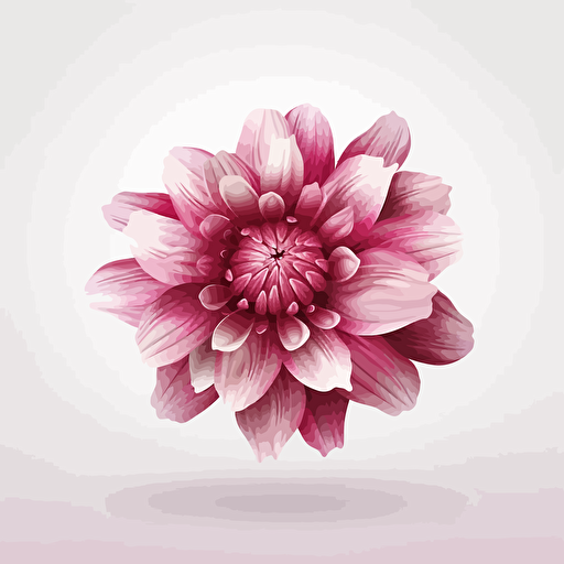 vector illustration style, one pink flower, white background, high quality,