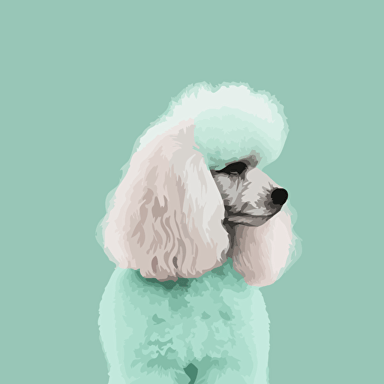minimal vector poodle minimal colors mint