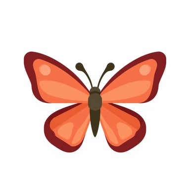 a butterfly