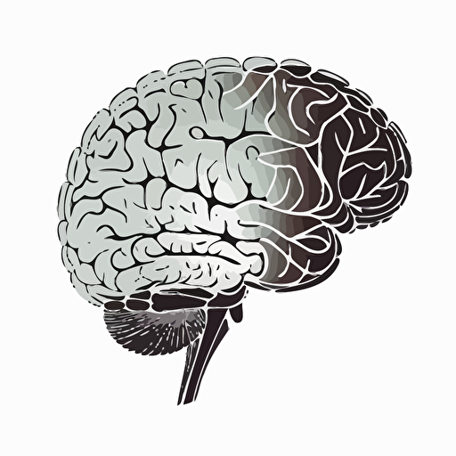 human brain vector outline